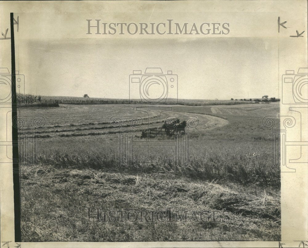 1944, George Thiem Morrison Farms Daily News - RRV43089 - Historic Images