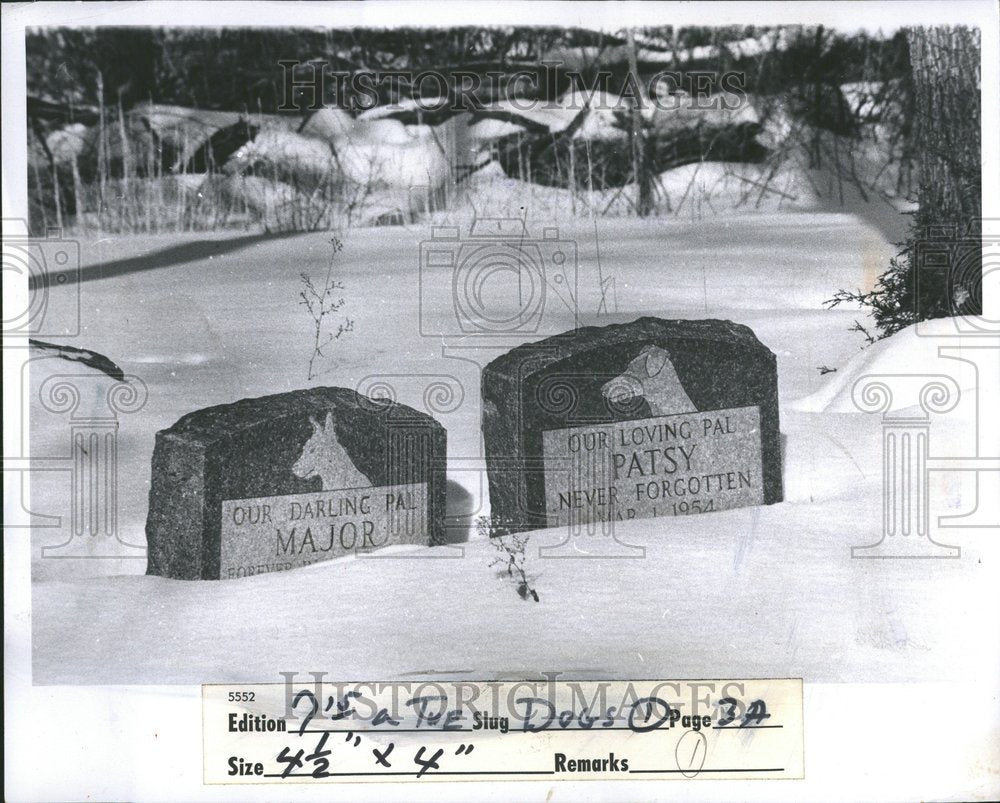 1976 Pet Cemetery - Historic Images