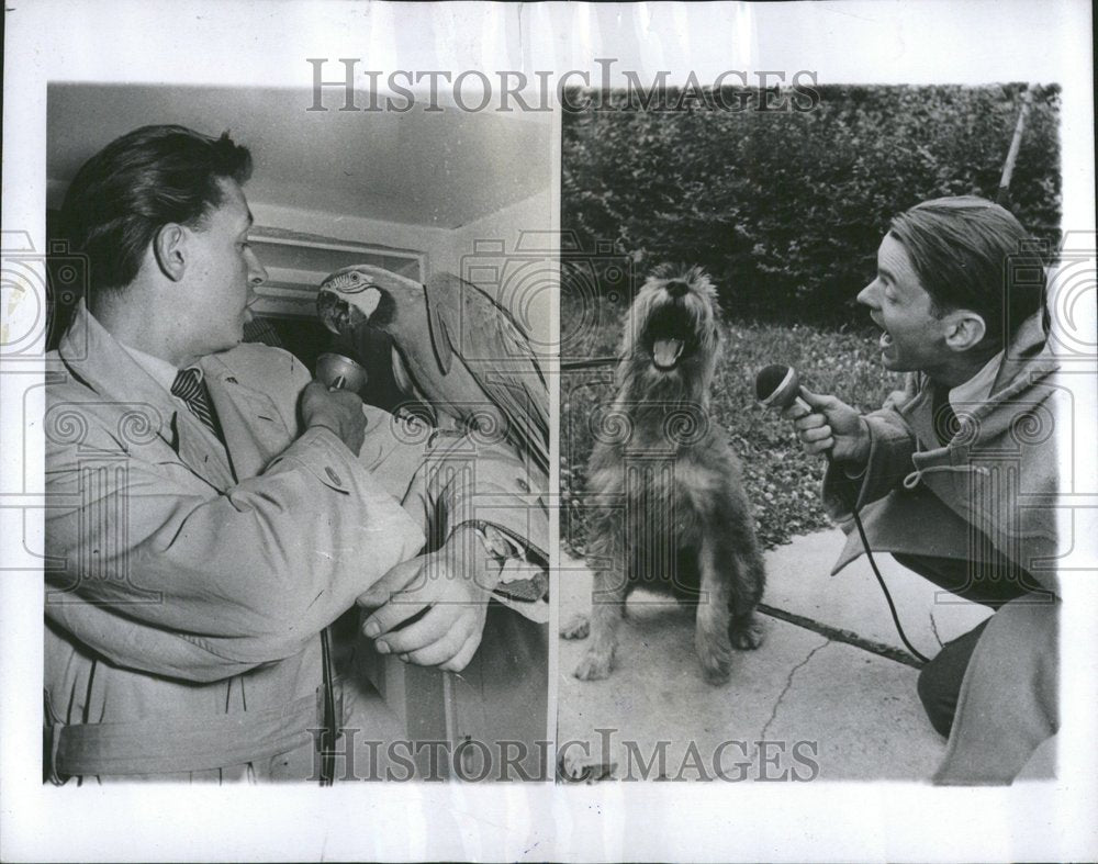 1953 Press Photo Using A Tape Recorder For Animal Sound - RRV45477 - Historic Images