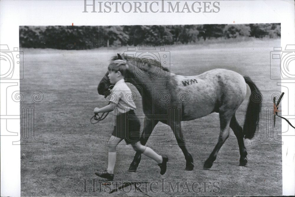 1955, Prince Charles British Royal Family - RRV46199 - Historic Images