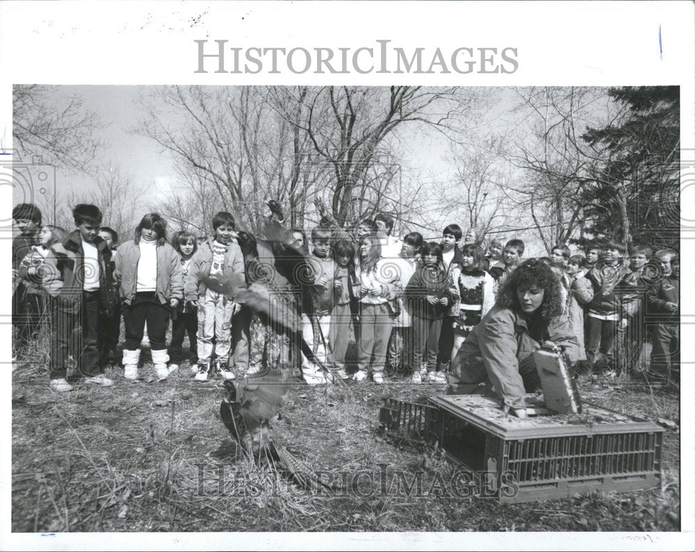 1992 Michigan Pheasants - Historic Images