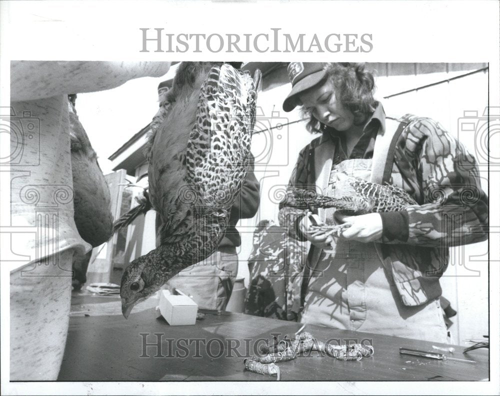 1992, Pheasant Banded Released Montor Co. IL - RRV46521 - Historic Images