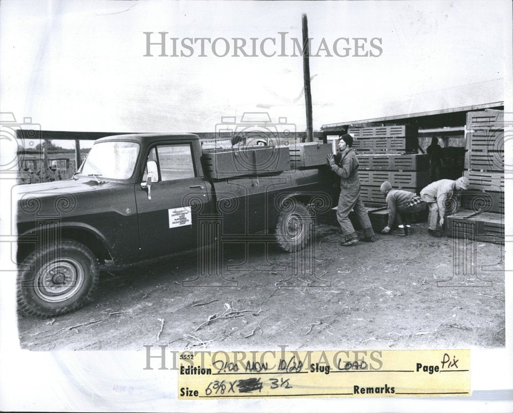 1974, Crates trucks loaded stock Michigan - RRV47103 - Historic Images