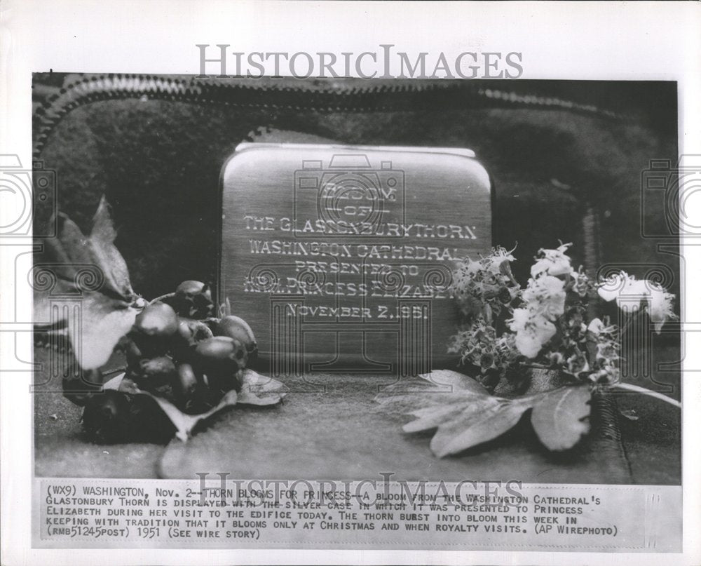 1951 Princess Elizabeth Tour England Royal-Historic Images