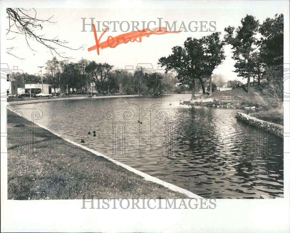 1974 Brighton Mill Pond Ducks Swimming-Historic Images