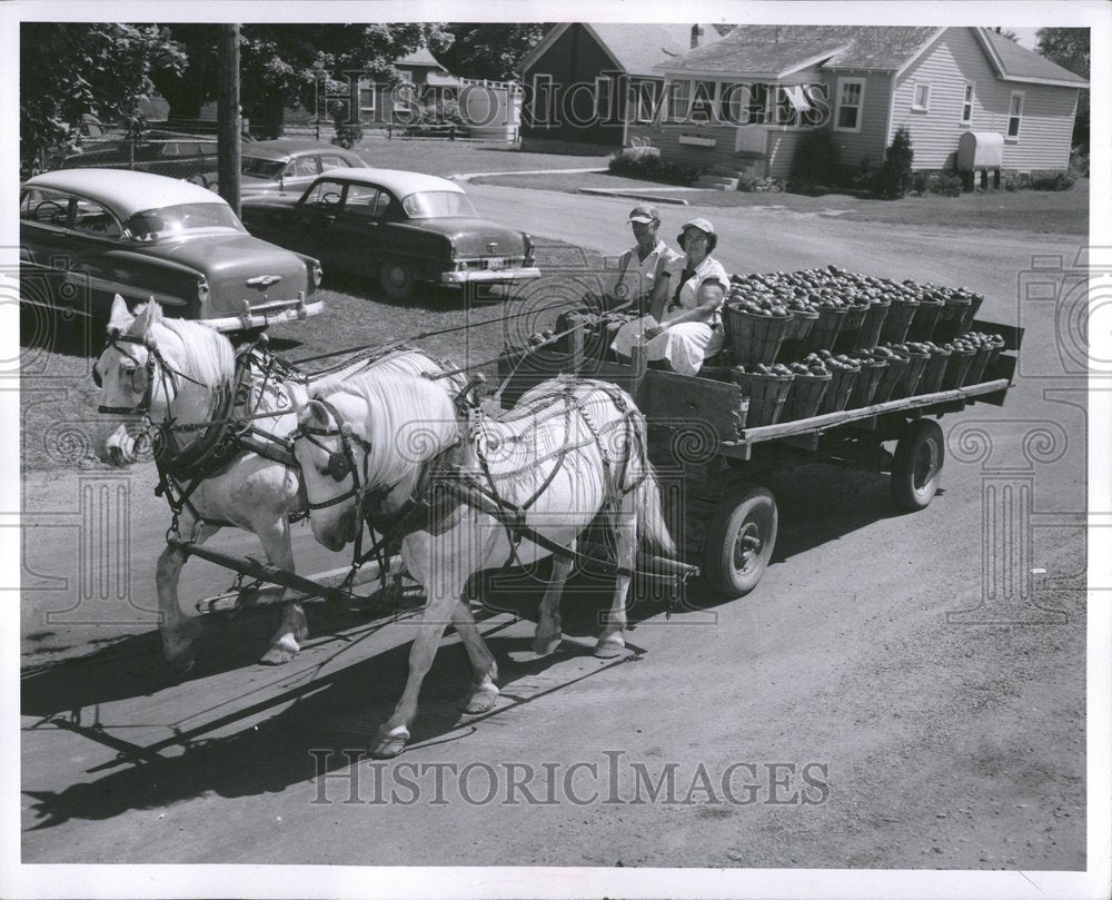 1955 Press Photo William Preston wife tomatoes market - Historic Images