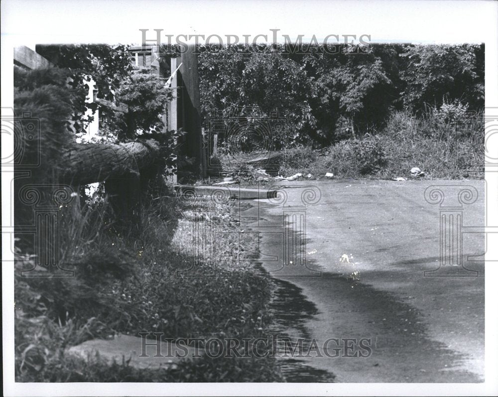 1969 Fox Creek water flow Ashland street - Historic Images