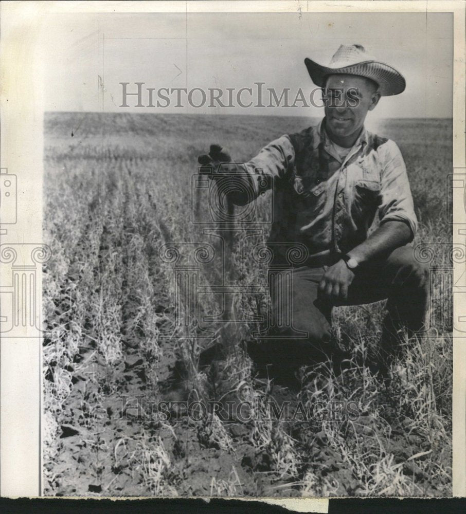 1961 Press Photo Burleigh Country northern Great Plains - Historic Images