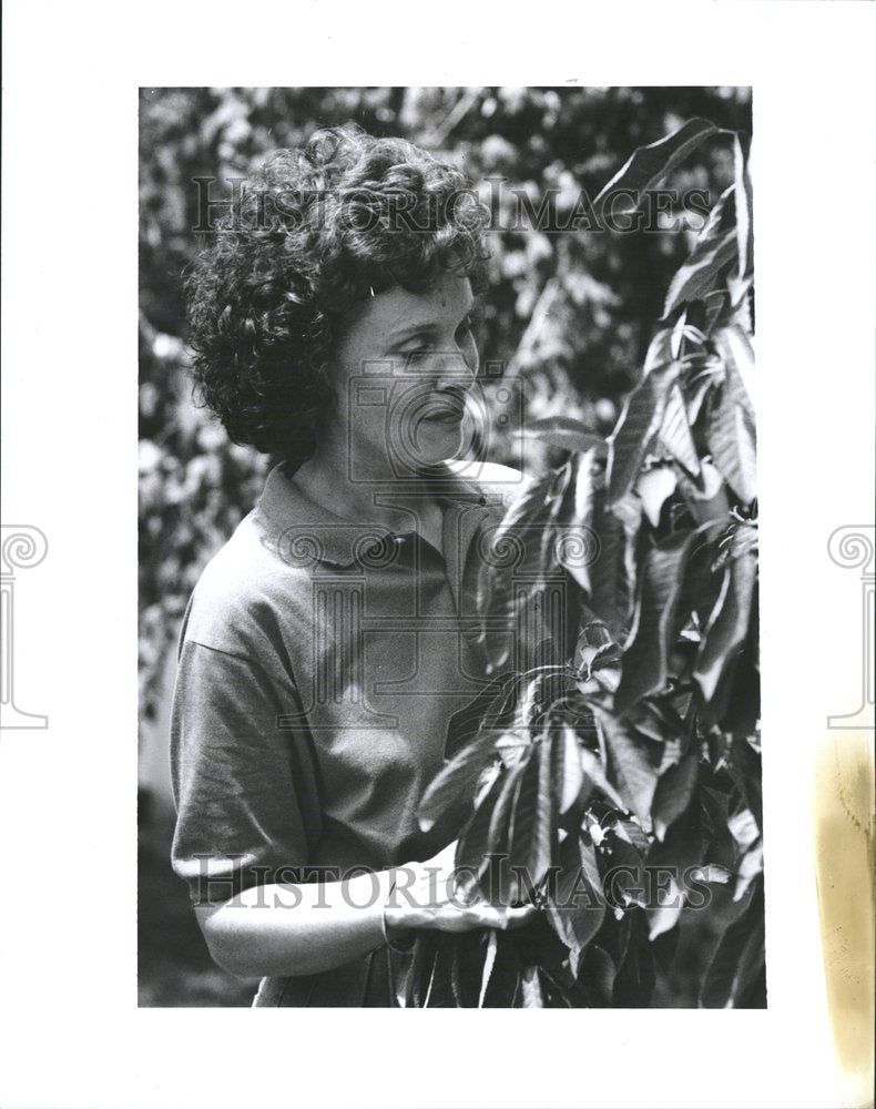 1991 Katrina Roy Bowerman Westview Orchards - Historic Images