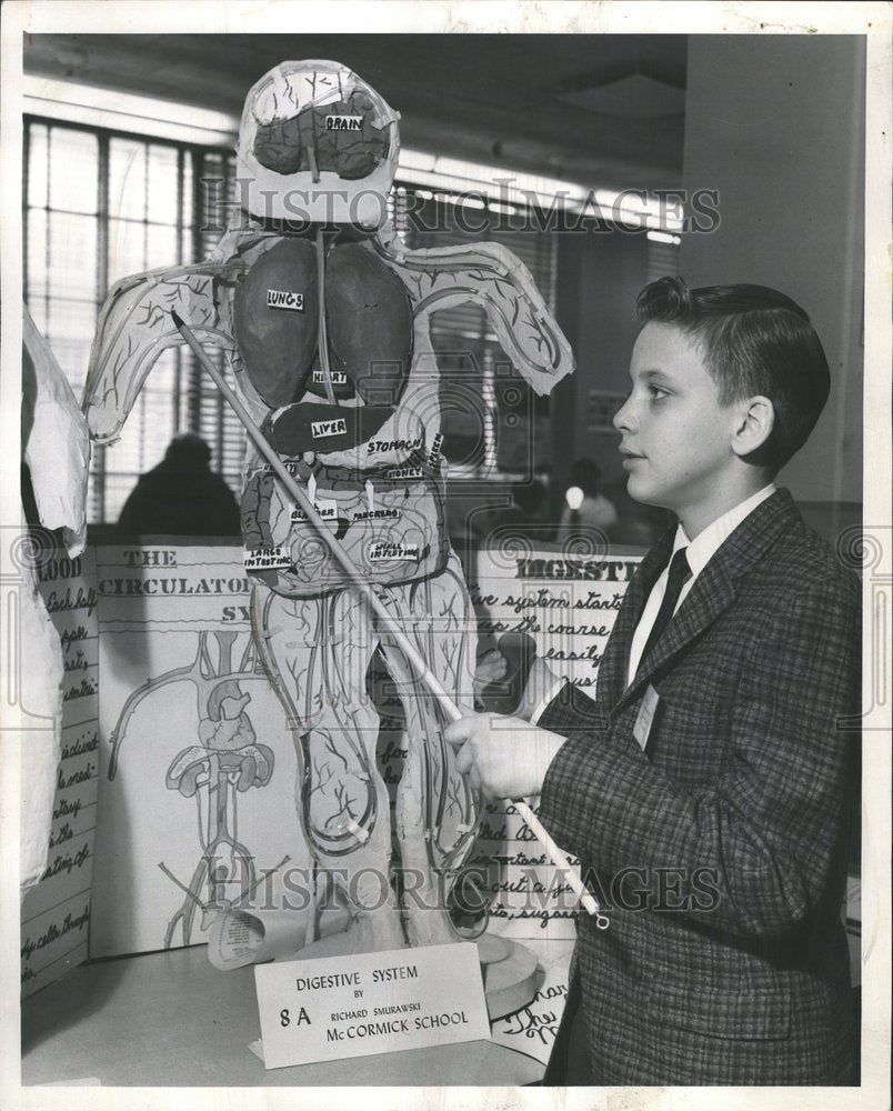 1962 Science Fair Grade Student Human - Historic Images