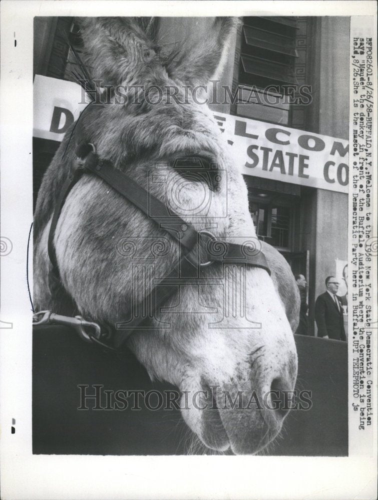 1958, Auditorium New York Convention Maude - RRV56459 - Historic Images