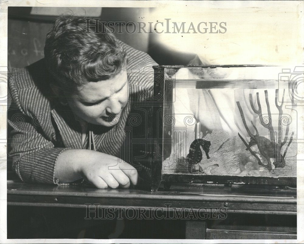 1959 Frank Toleson Schurz Science Fair - Historic Images