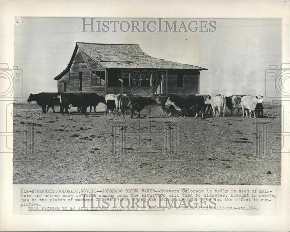 1964 Press Photo Colorado being baked Easter moisture - RRV59489 - Historic Images