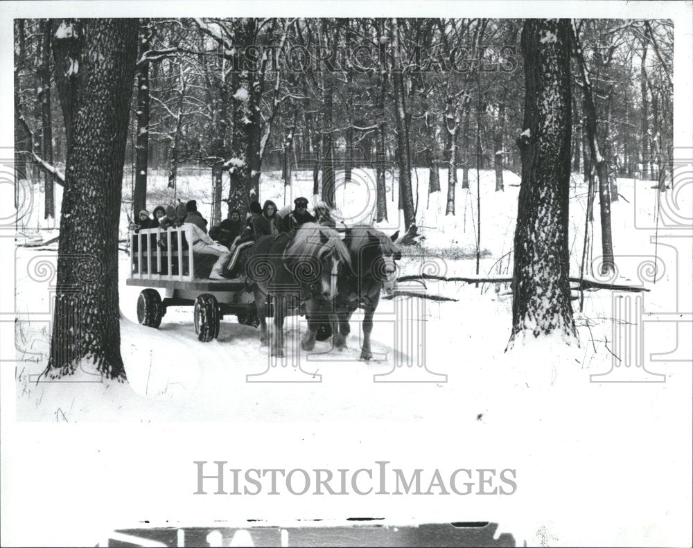 1992 Danada Forest Preserve Sleigh Ride - Historic Images