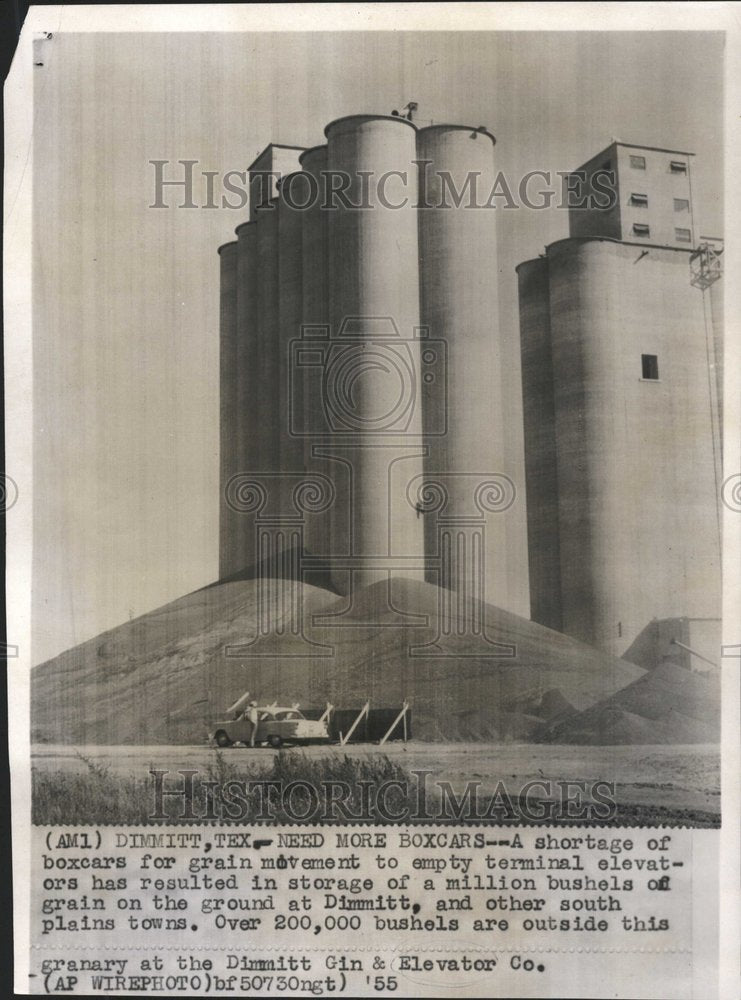 1955 Press Photo Shortage boxcars terminal elevators - RRV62109 - Historic Images