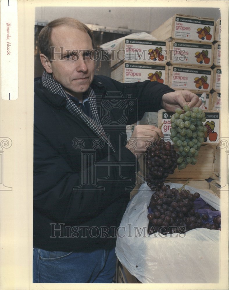 Press Photo Chilean grapes Strube Celery Vegetables - RRV62145 - Historic Images