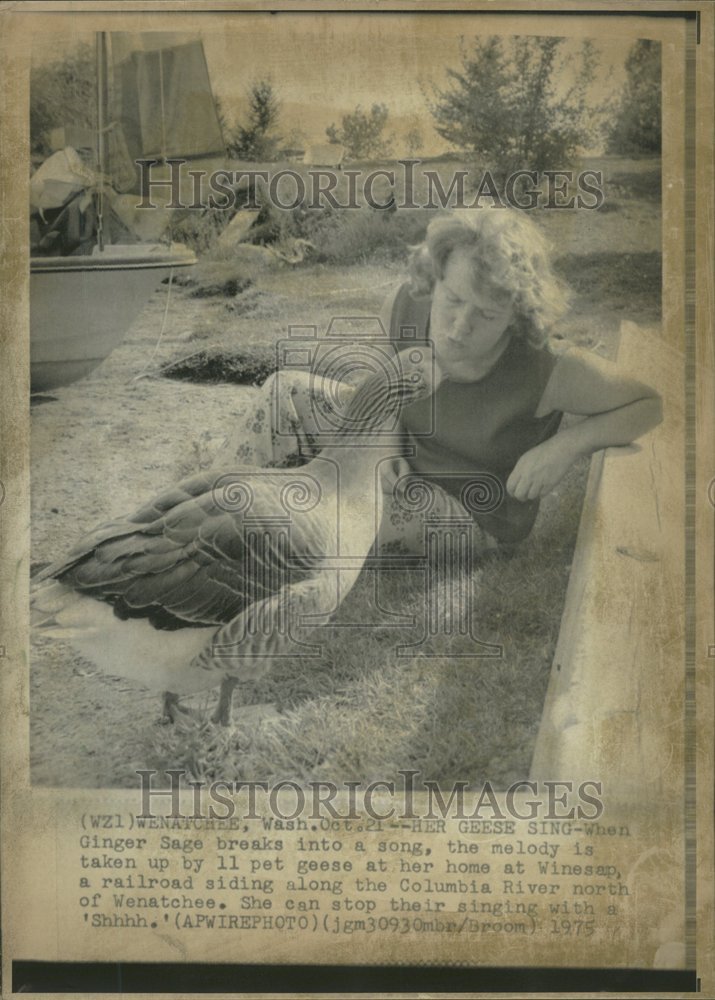 1975 Ginger Sage Pet Geese Winesap - Historic Images