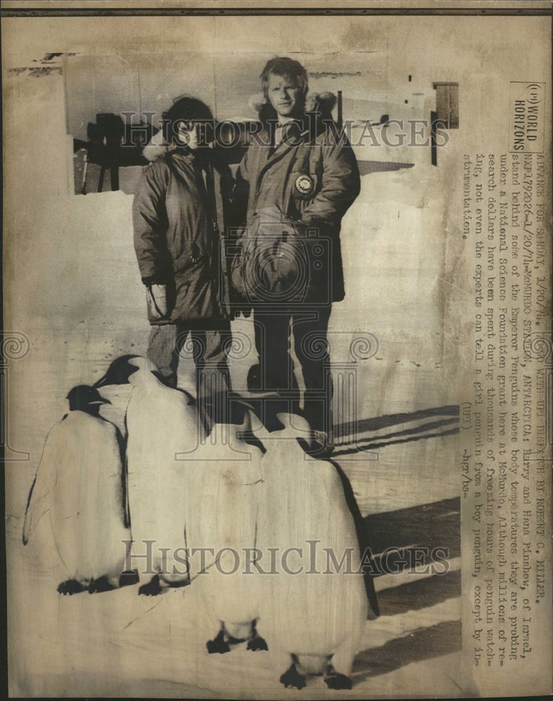 1974 Press Photo Harry Pinshew Emperor Penguin Research - RRV62535 - Historic Images