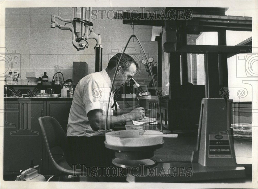 1969 Andrew Principe Northern Police Lab - Historic Images