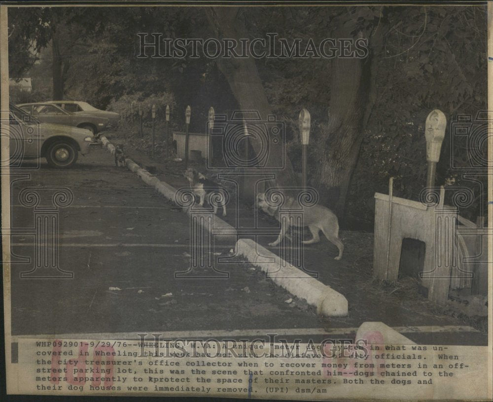 1976 Press Photo Antique Meter Dog Chain Wheeling Week - RRV65627 - Historic Images