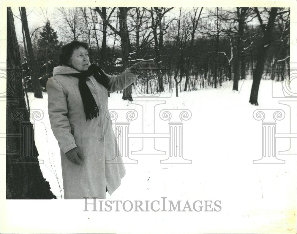 1988 Barbara Turner Woodland Long Grove - Historic Images