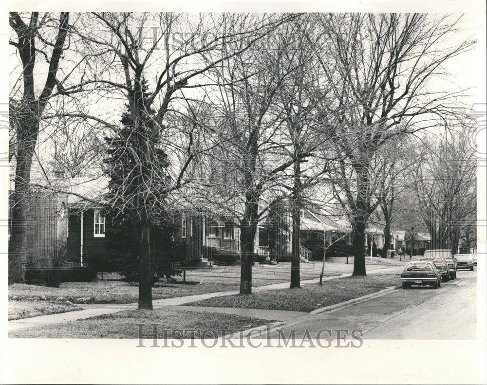 1986 Press Photo Glenoak Avenue Lansing Michigan - RRV66587 - Historic Images