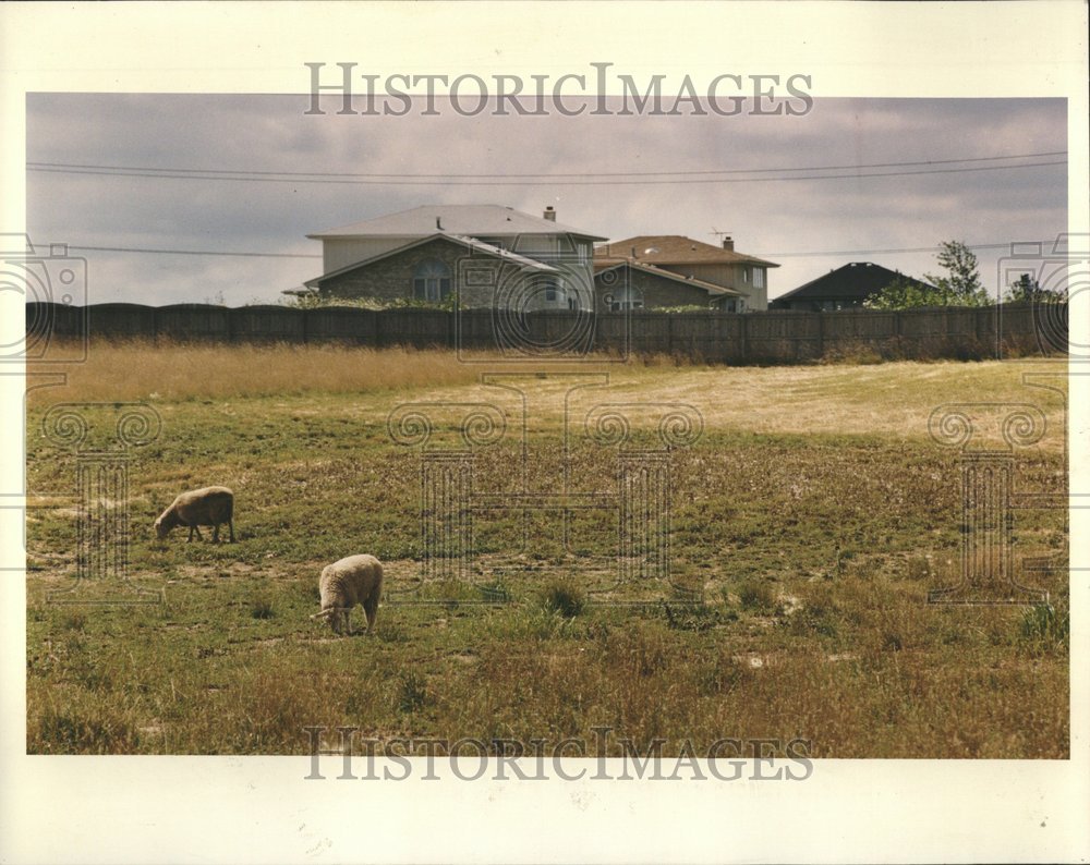 1993 Orland Park Farm In Illinois - Historic Images