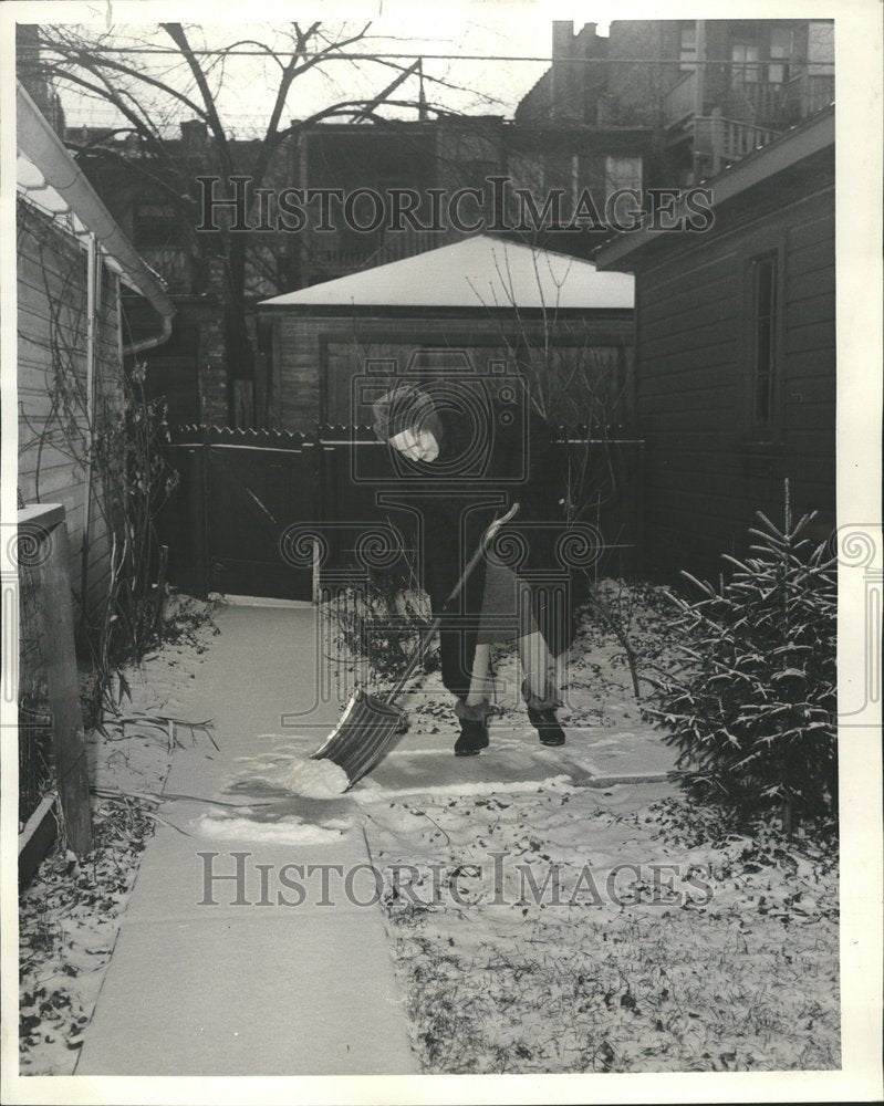 1965 Donald Frisk Bernard hyacinths yard - Historic Images