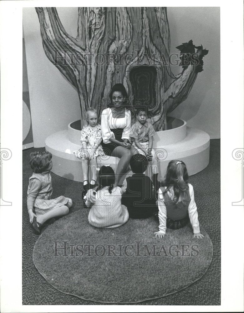 1971 Press Photo Treetop House Television Program - RRV69249 - Historic Images