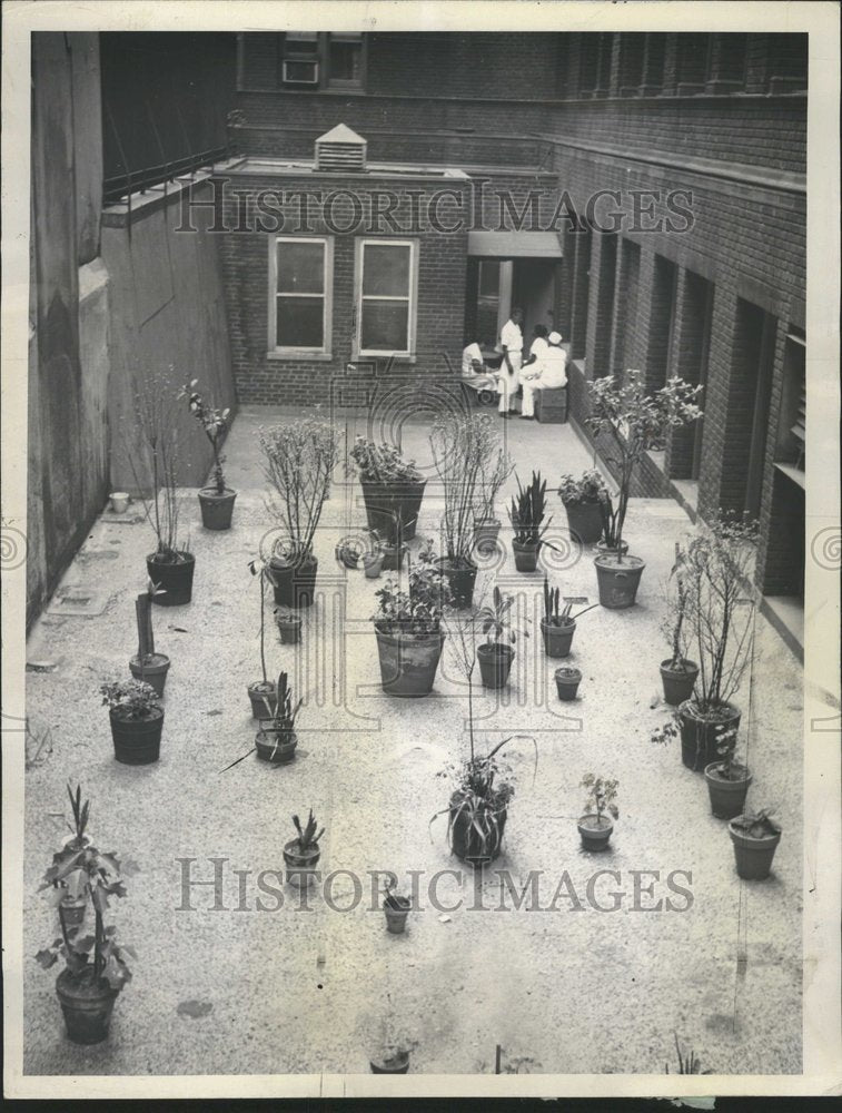 1960 New York City Garden Pot Luck Heart-Historic Images