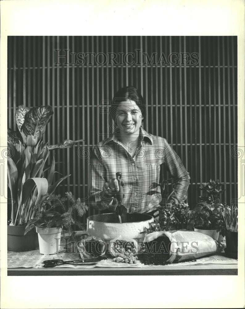 1979 Press Photo Dramatic Indoor Garden Basic Container - RRV70393 - Historic Images