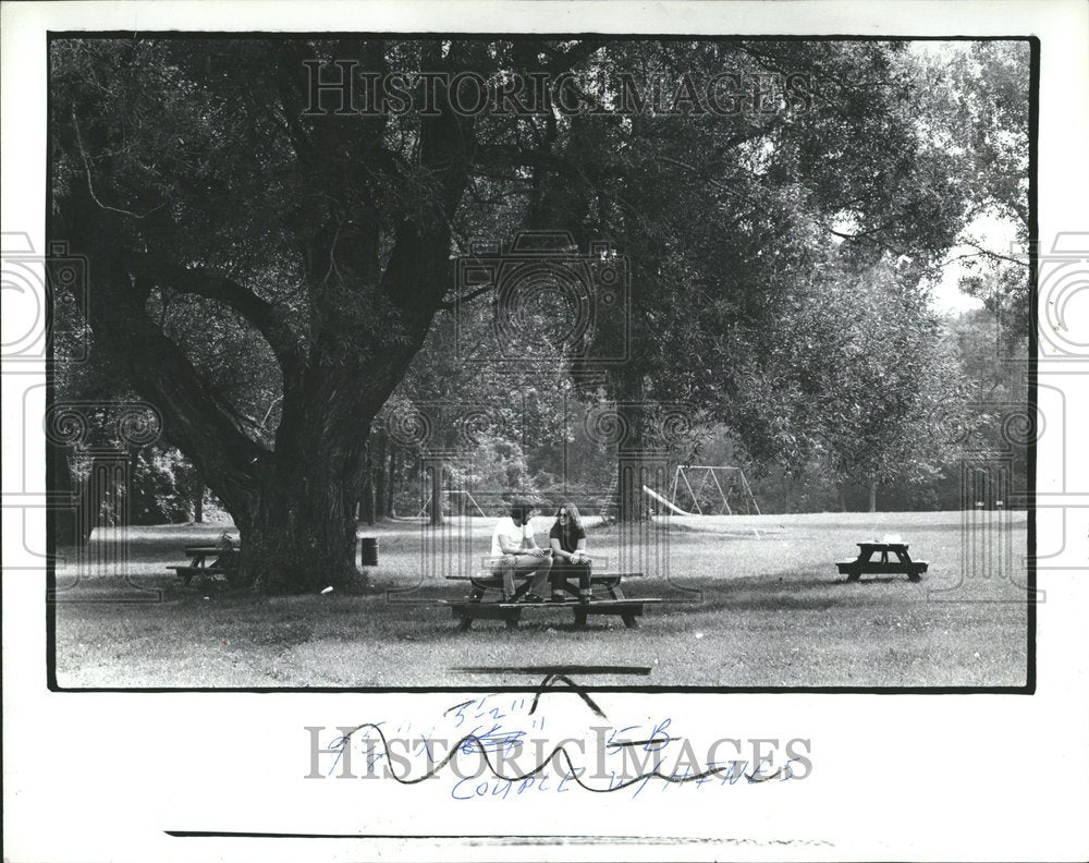 1982 Press Photo Wayne County Michigan Huies Park - RRV71199 - Historic Images