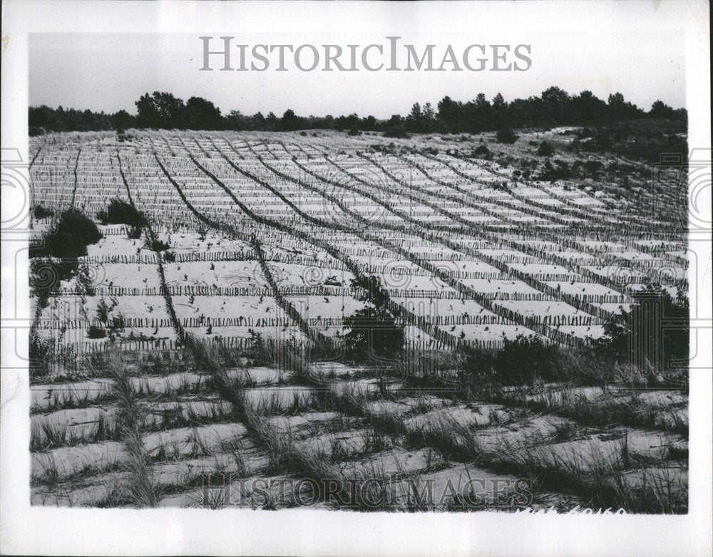 1947, Soil Conservation Program Farm Fields - RRV71313 - Historic Images