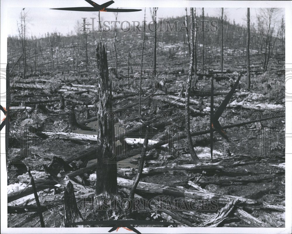 1962 Press Photo Forest Fire Chapleau Mississagi - Historic Images