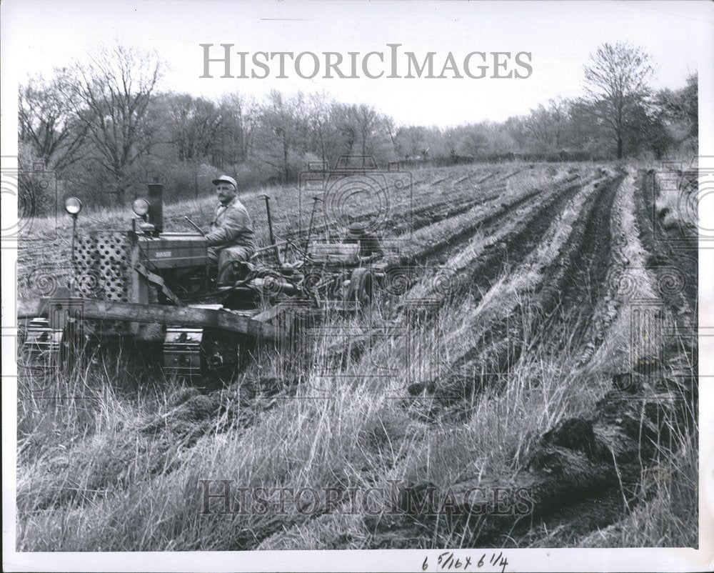 1960 Orily Myers plants trees - Historic Images