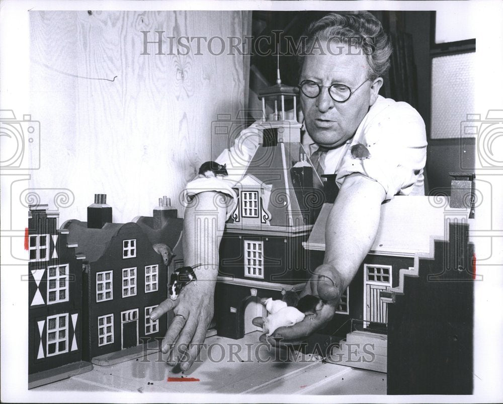 1956 Dutch carpenter and tiny house &amp; mice - Historic Images