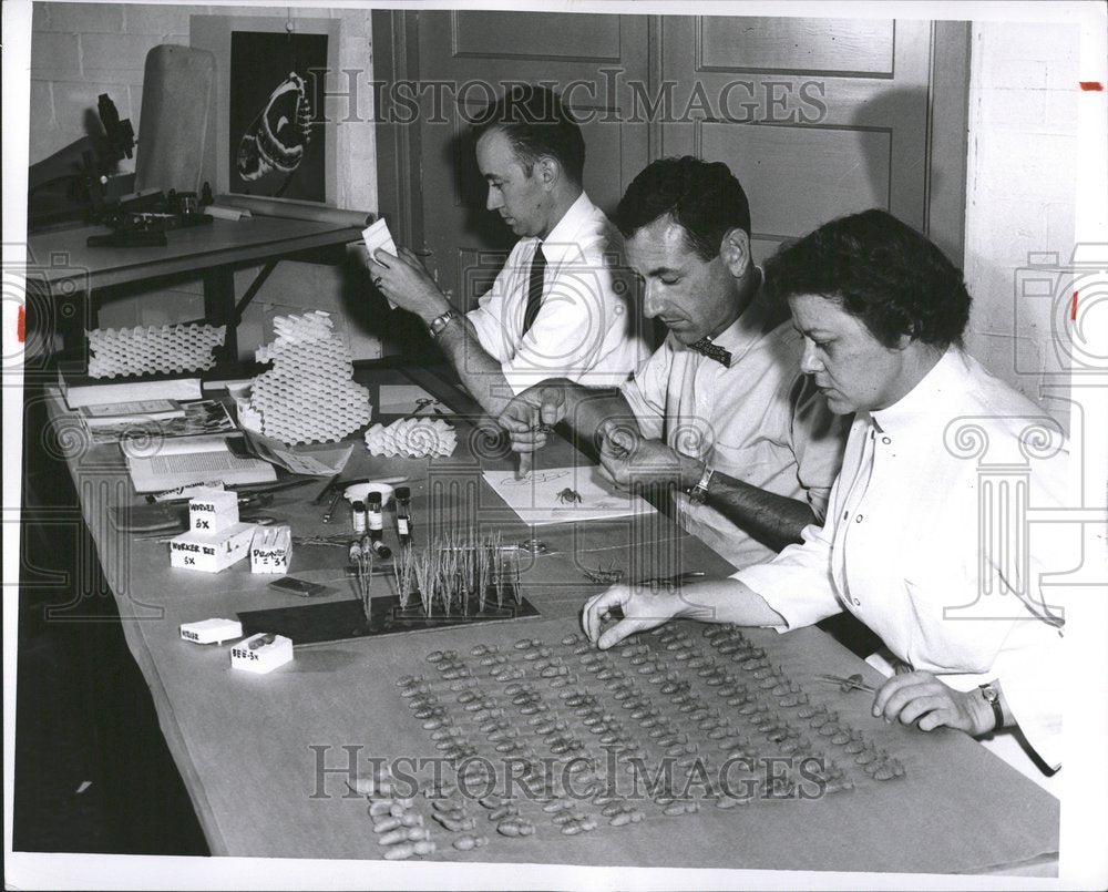 1954 Bees Assembly Line Show Testing Lab - Historic Images