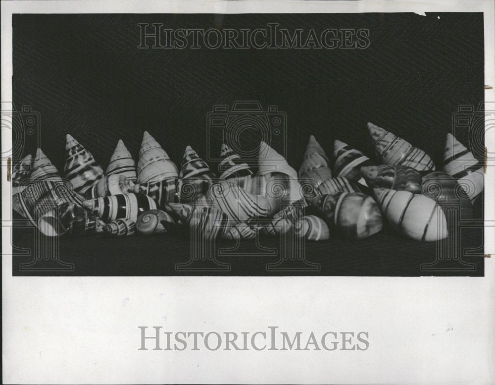 1941 Press Photo Clarence Aldrich Farmington Kimbell - RRV72991 - Historic Images