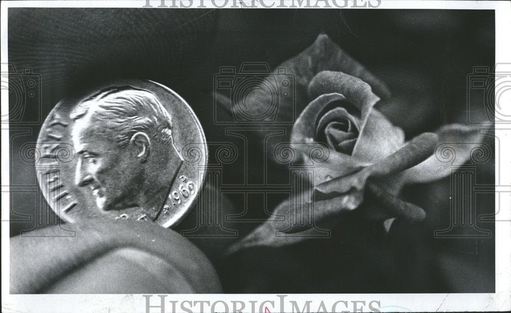 1977 Red Rose With a Dime-Historic Images