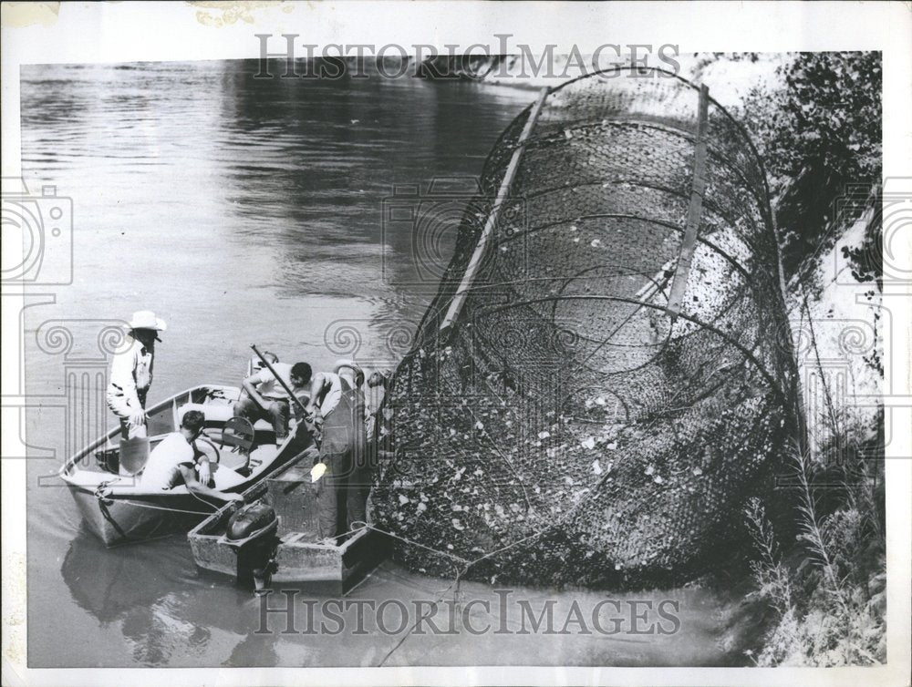 1955 Press Photo Dave Glenn &amp; Joe Patterson net fish - Historic Images