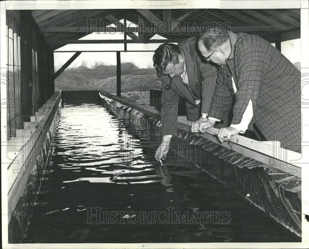 1961, William Lewis & Joe Moroni Trout SIU - RRV75773 - Historic Images