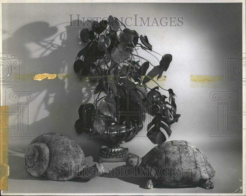 1970 Press Photo Escargot Bric a bac Tortie Turtle Snai - Historic Images