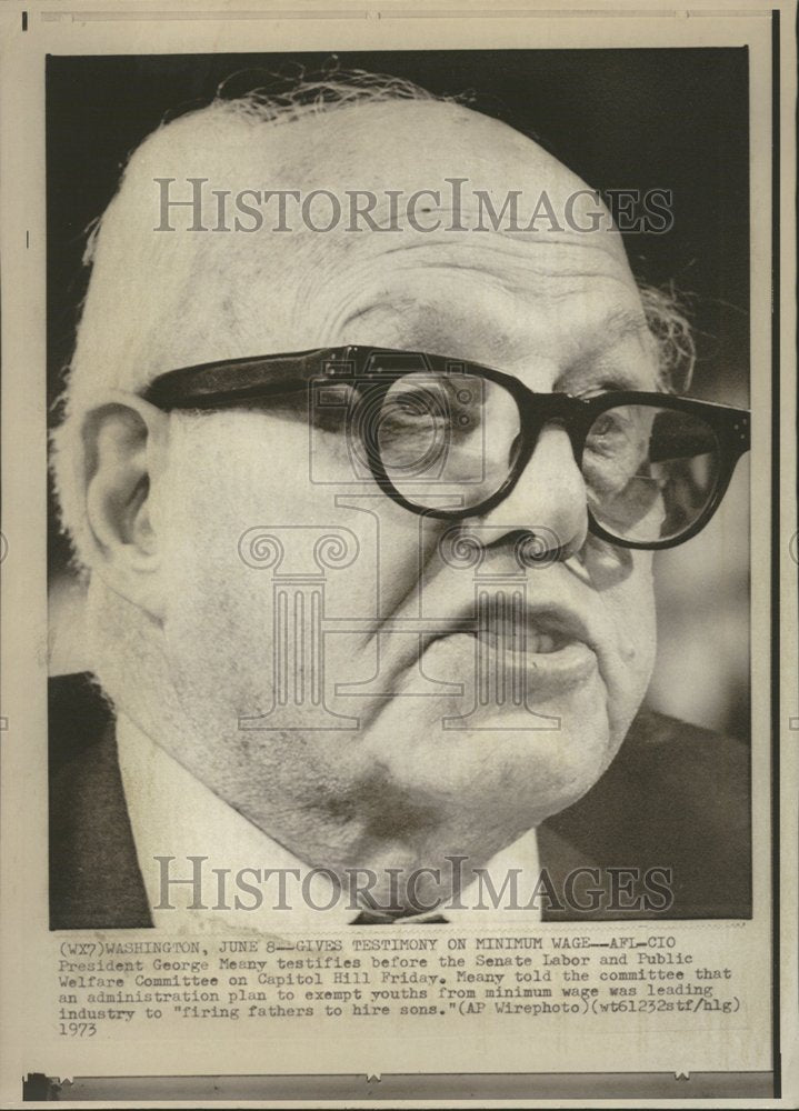 1973, George Meany President AFL-CIO Union - RRV77217 - Historic Images
