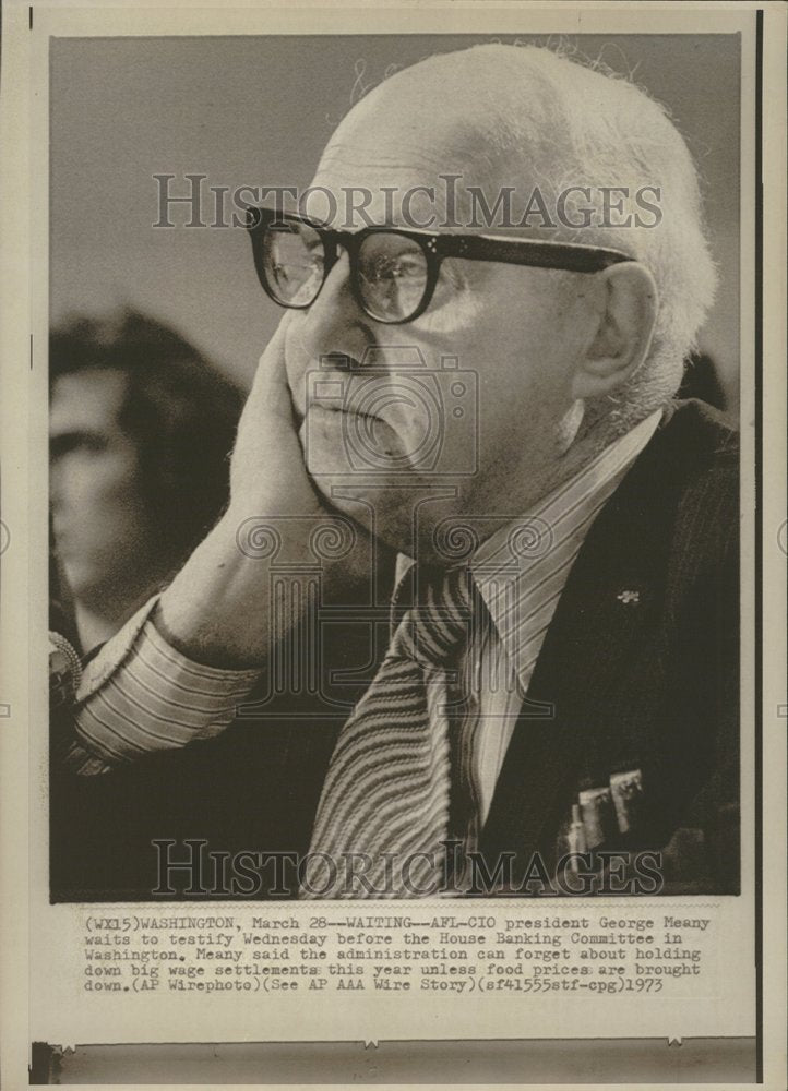 1973, George Meany President AFL-CIO Union - RRV77225 - Historic Images