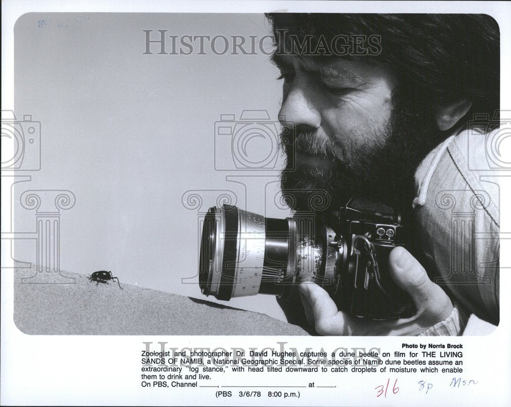 1978 Zoologist photographer Dr David Hughes-Historic Images