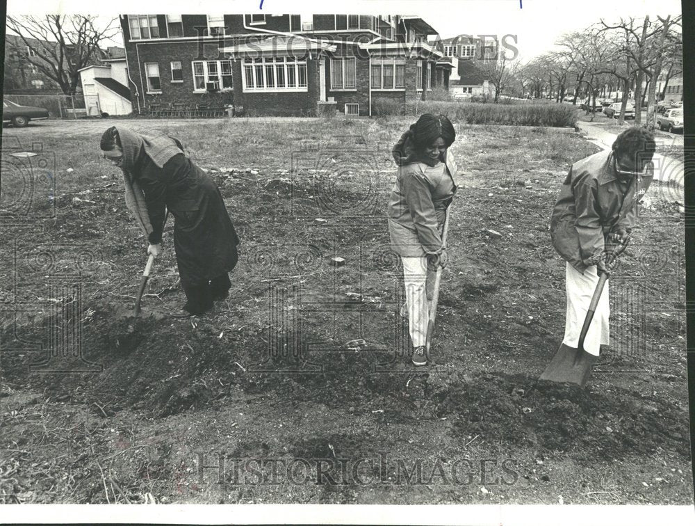 1978 Press Photo  South Shore Commission beautification - Historic Images