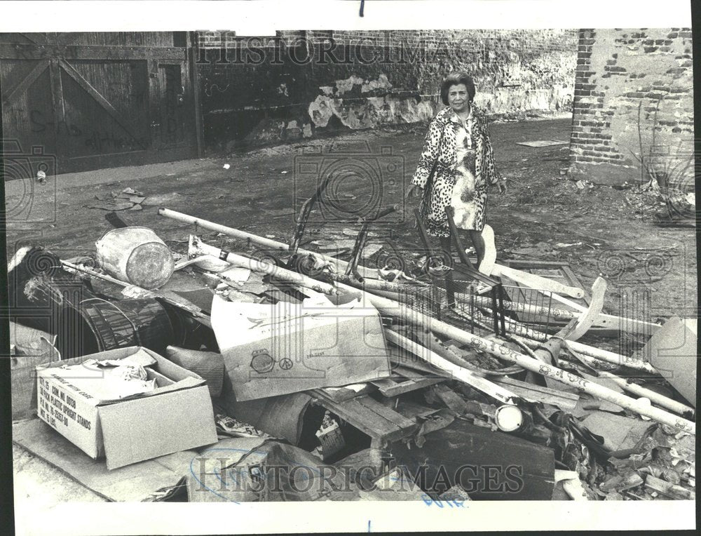 1978, Neighborhood Alley Cleanup Chicago - RRV87751 - Historic Images