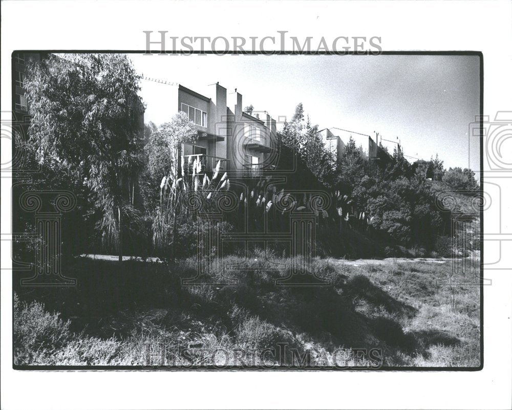 1977 Press Photo Irvine Ranch Detroit - Historic Images