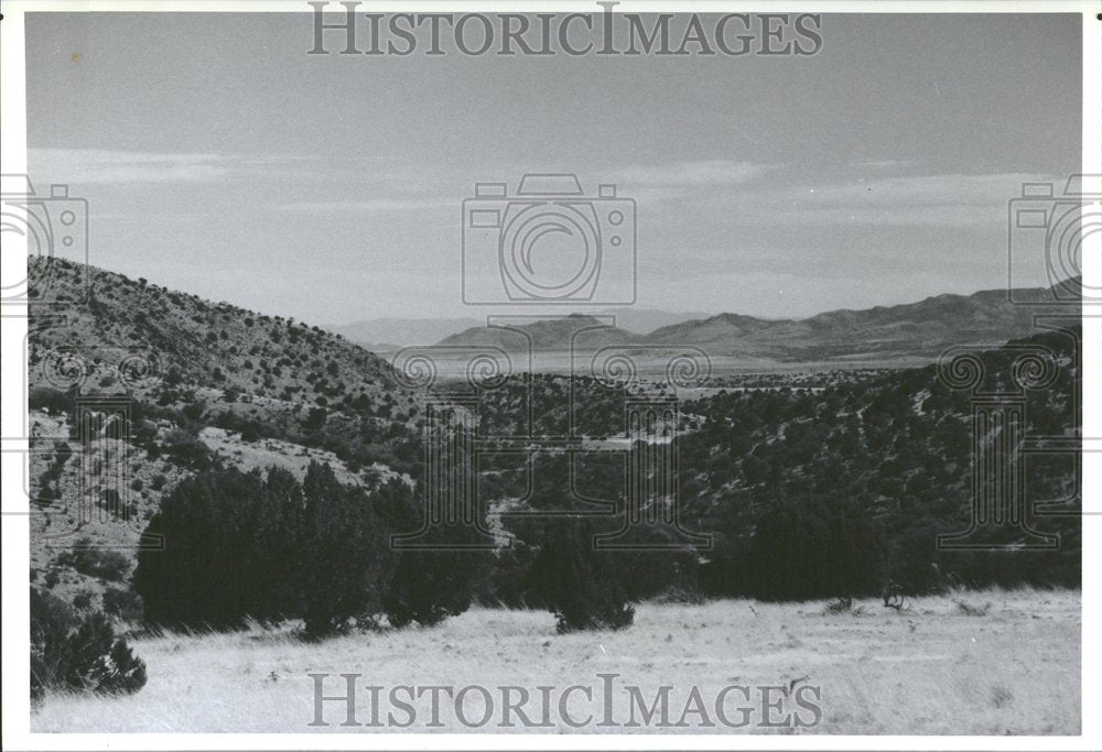 1990, Gray Ranch New Mexico - RRV88725 - Historic Images