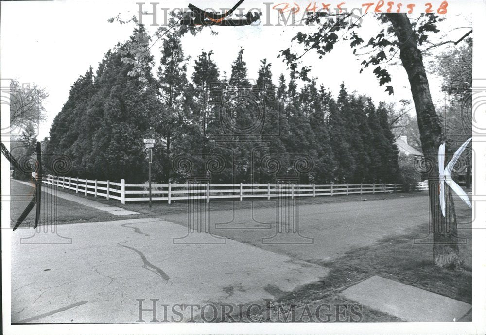 1973 Evergreen Tree Grove Detroit Streets - Historic Images